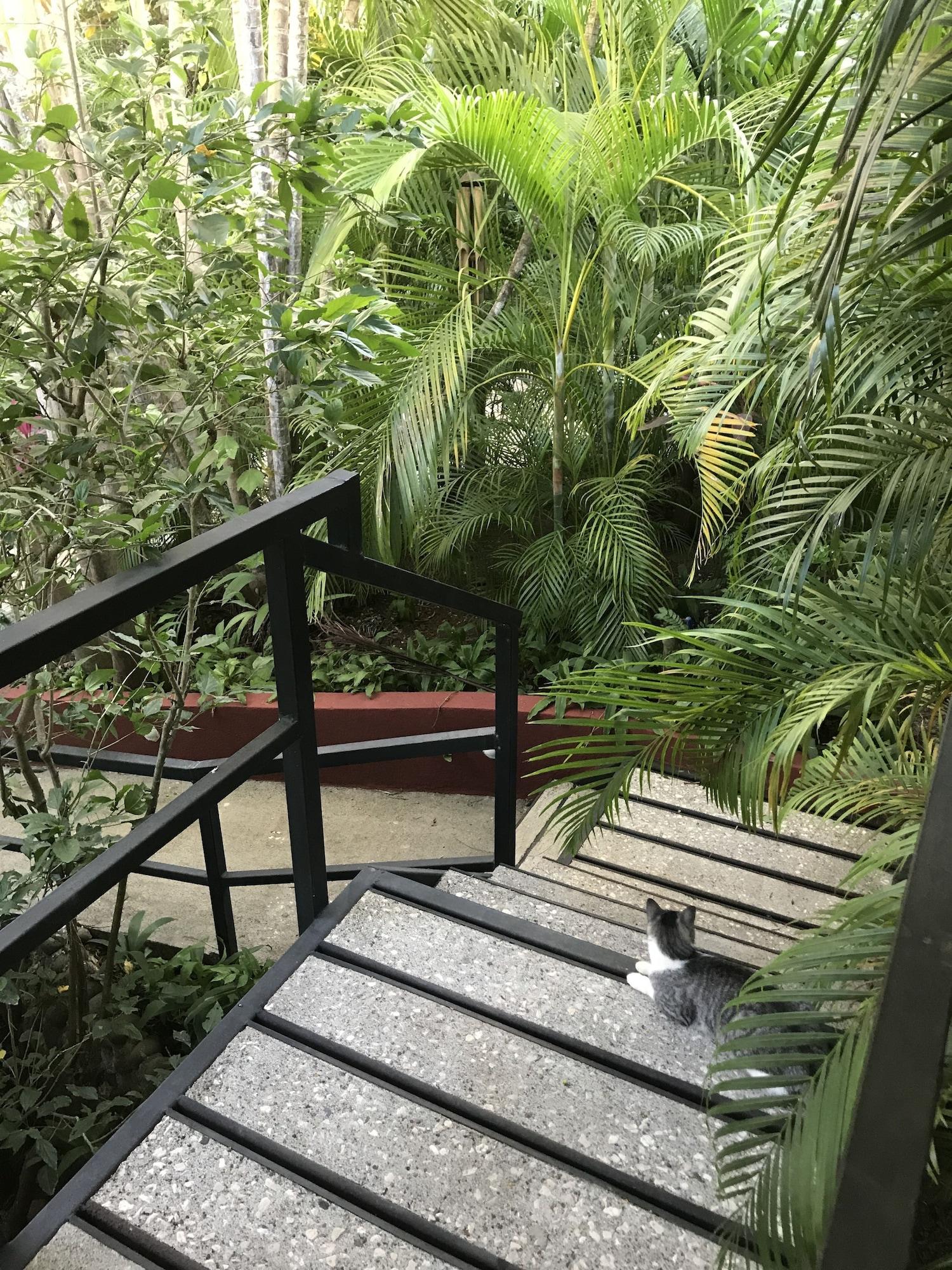 Tamarindo Village Hotel Zewnętrze zdjęcie